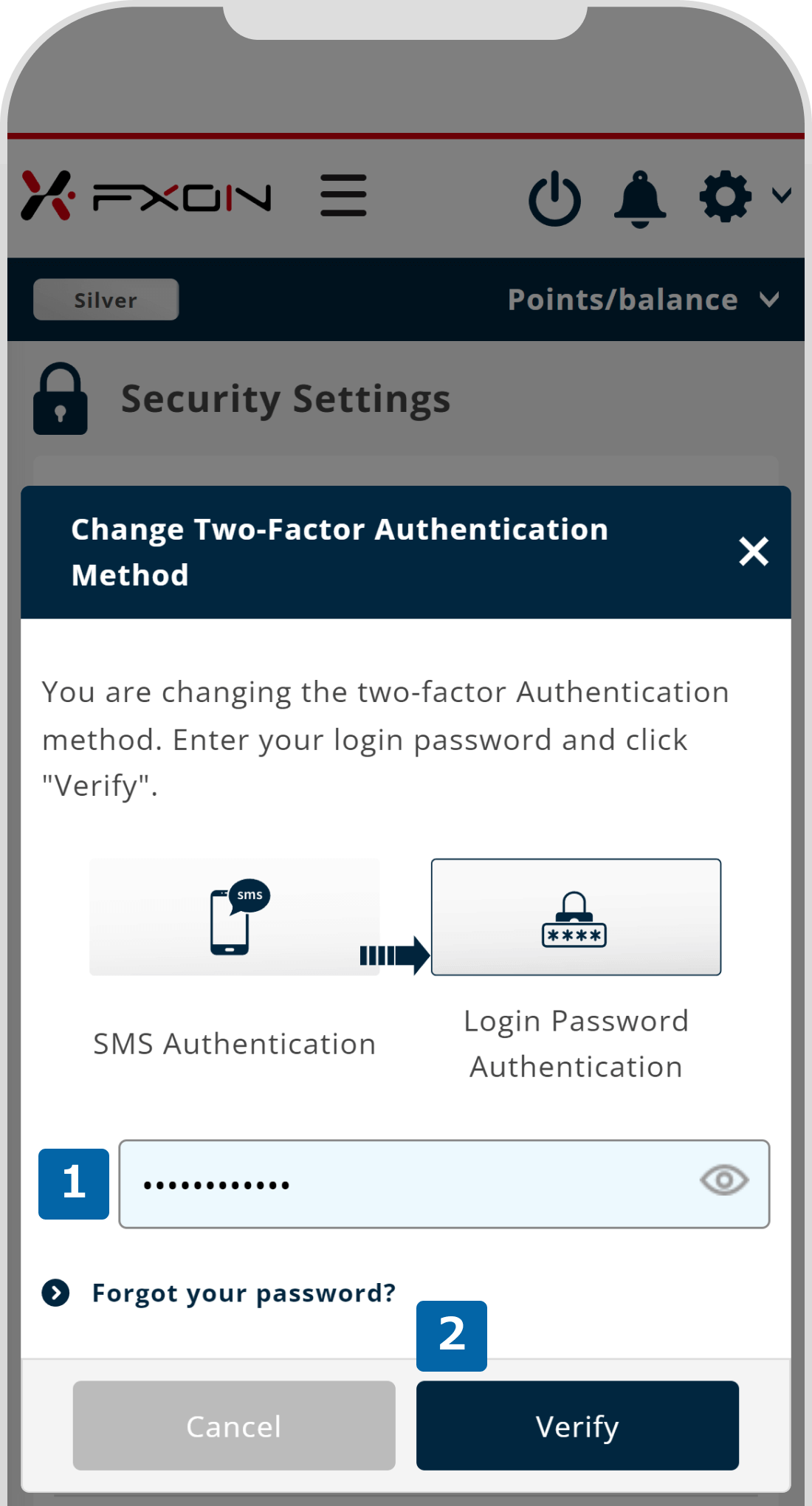 3. Enter your login password