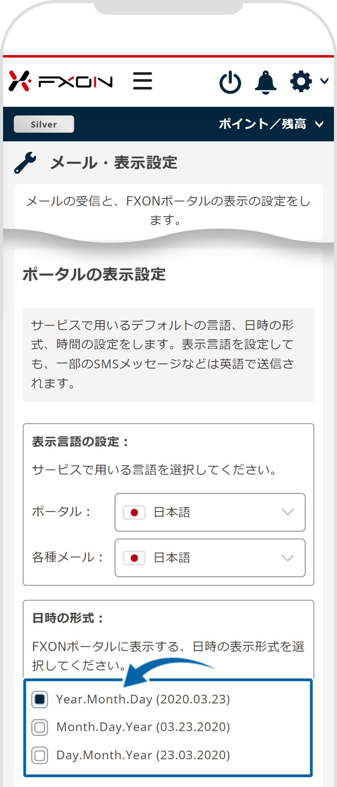 表示される日時の形式を選択