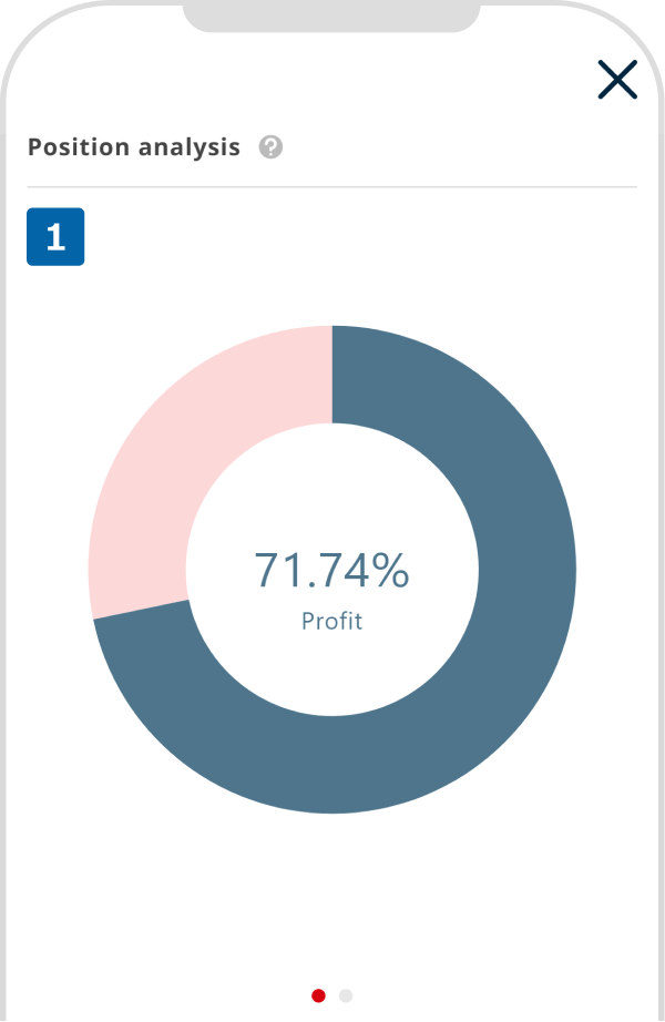 Profit/Loss pie chart is displayed