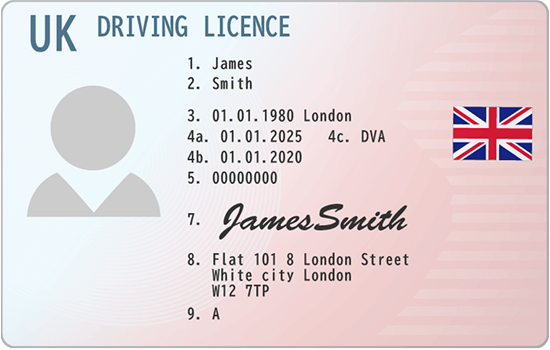 Driver's License