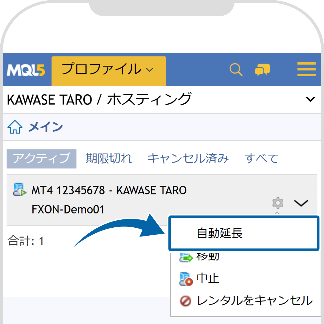 オプションを表示