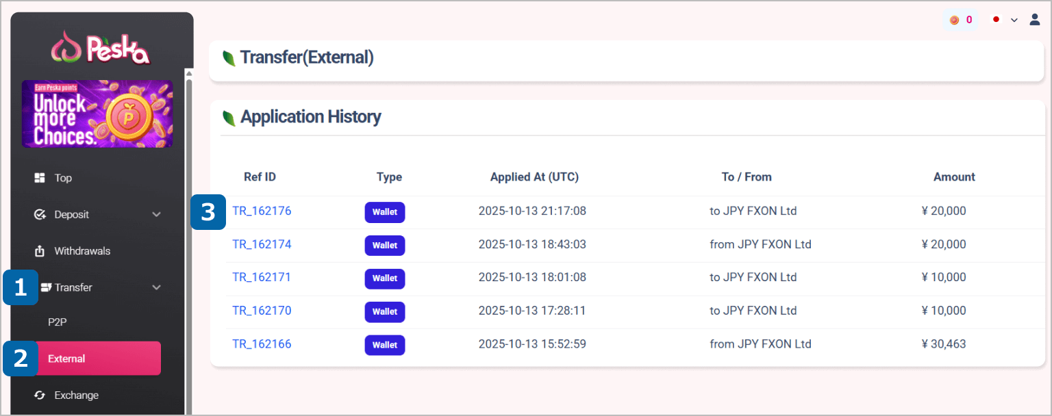 Required Document (ii): Peska Account Transaction History Details Page