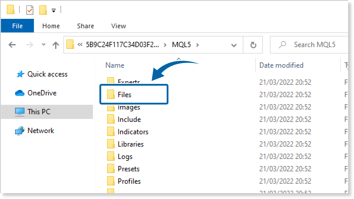 Files Folder