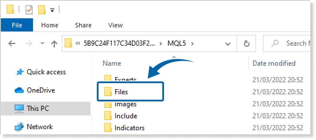 Files Folder