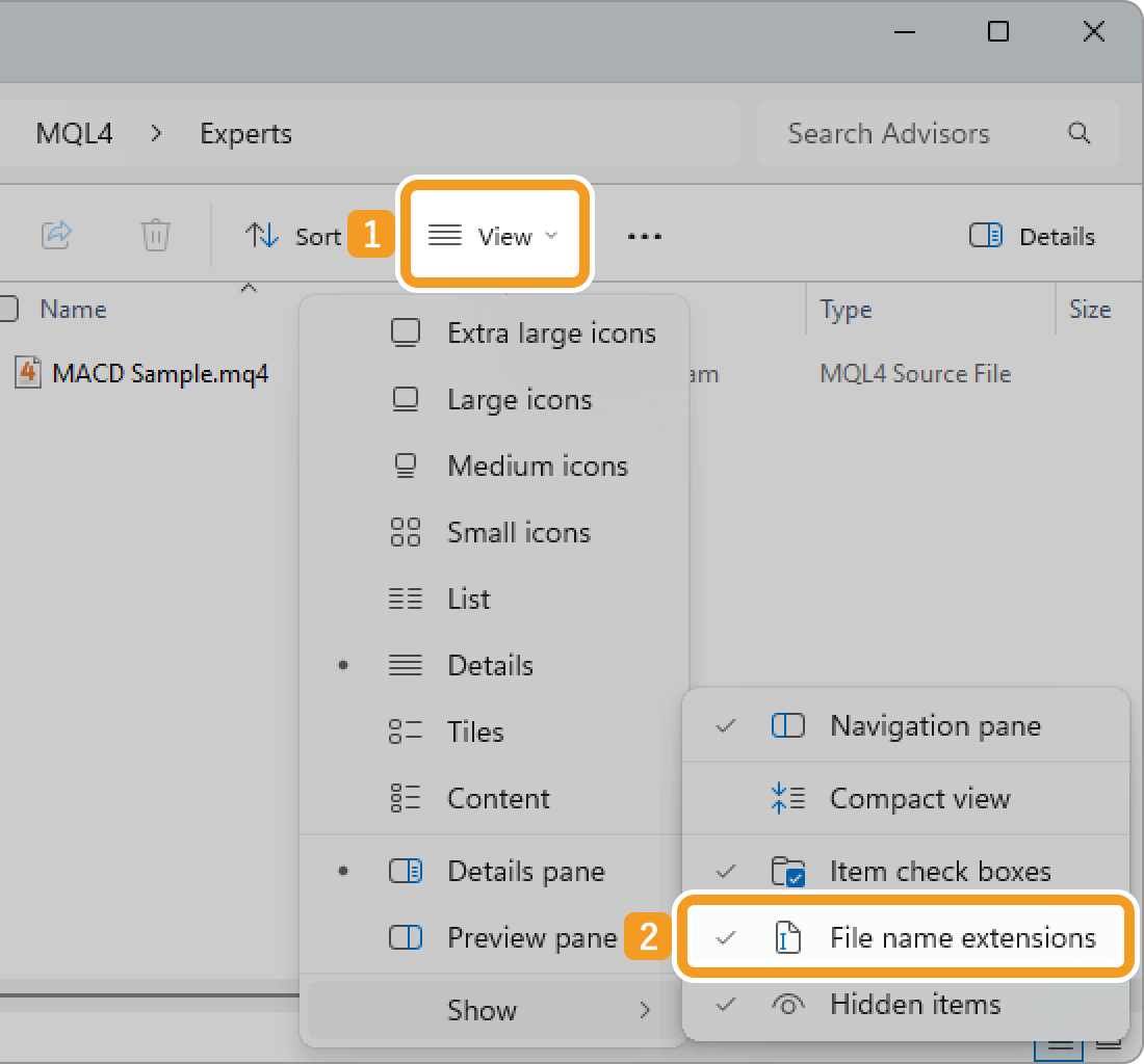 Make the extension visible
