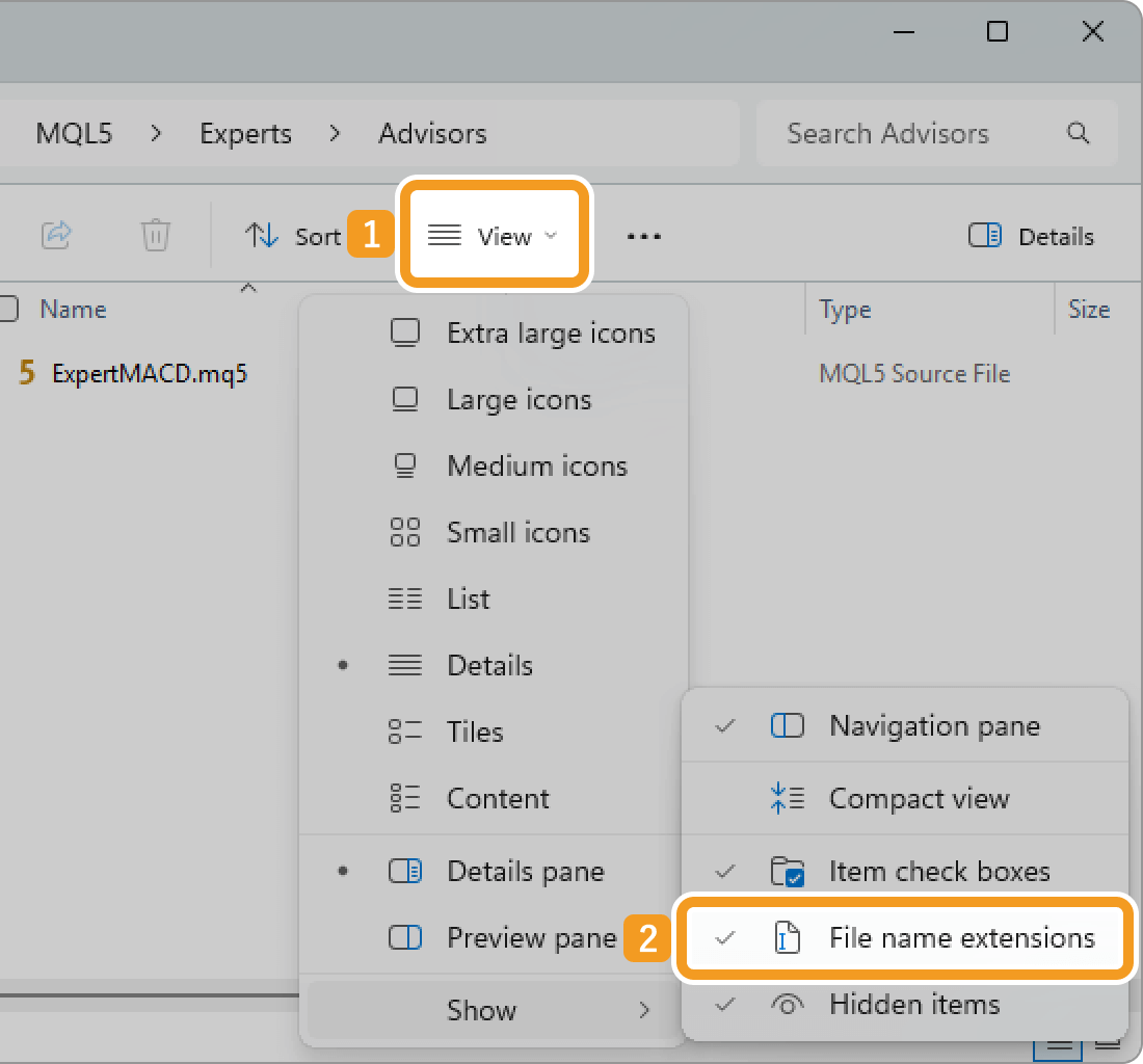 Make the extension visible