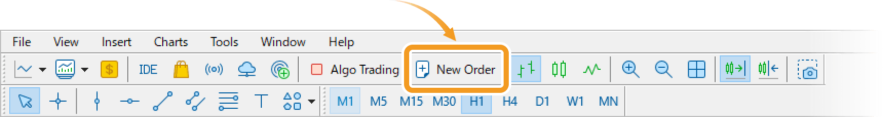 Click New Order in the toolbar