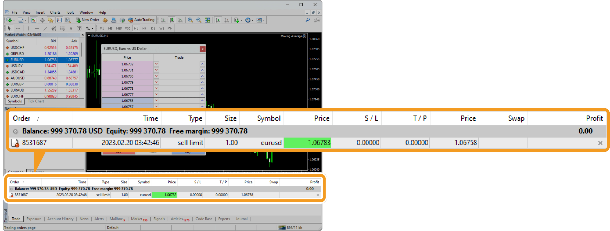 Check a pending order in the Trade tab of the Terminal