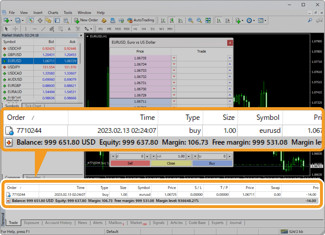 Order details in the Trade tab of the Terminal