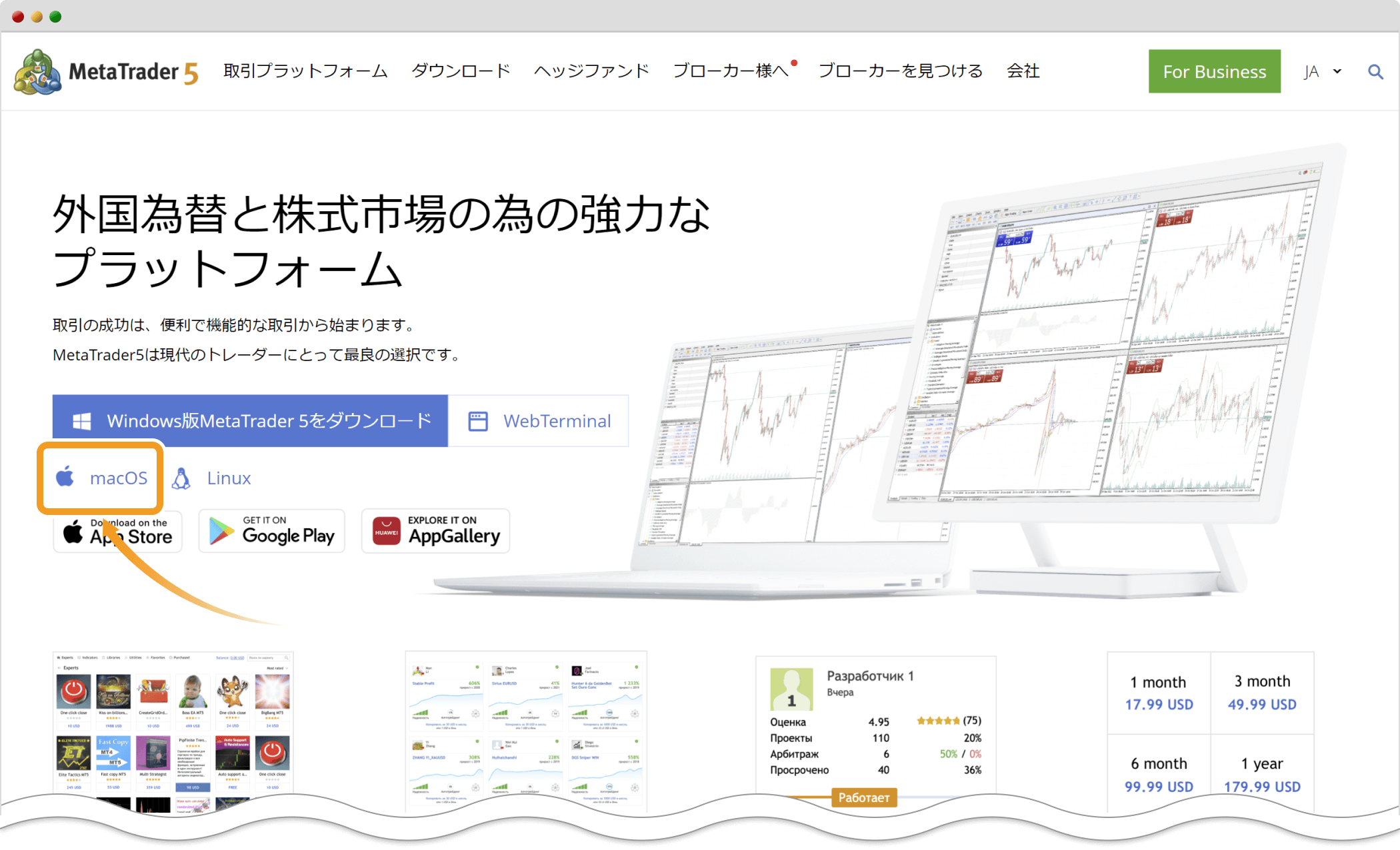 Mac版MT5のダウンロードリンクをクリック