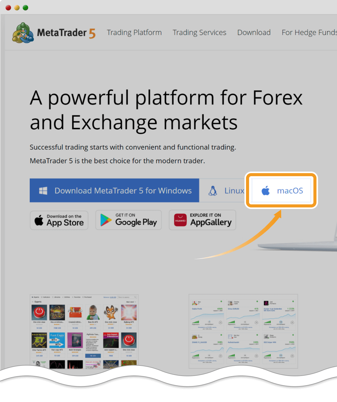 Click the download link for MT5 for macOS