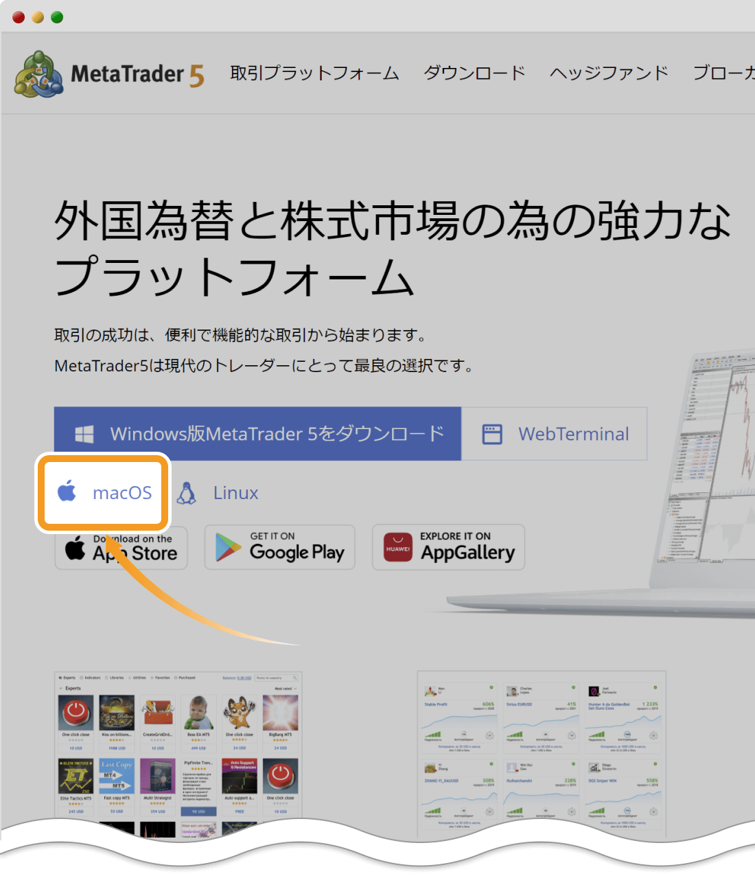 Mac版MT5のダウンロードリンクをクリック