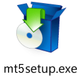 Launch the MetaTrader 5 installer