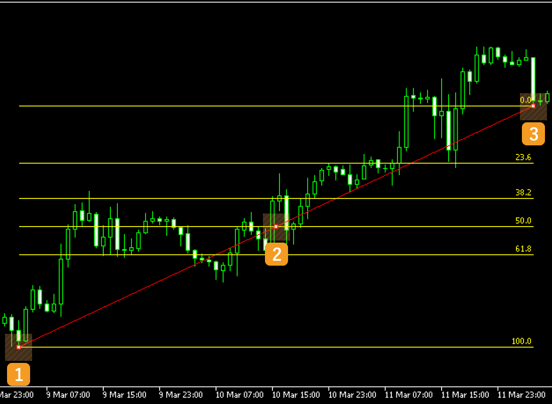 Make sure the white dots are being displayed on the Fibonacci retracement