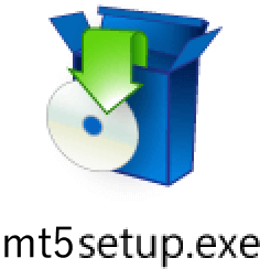 Launch the MT5 installer