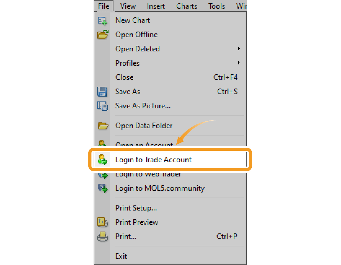 Click File in the menu and select Login to Trade Account