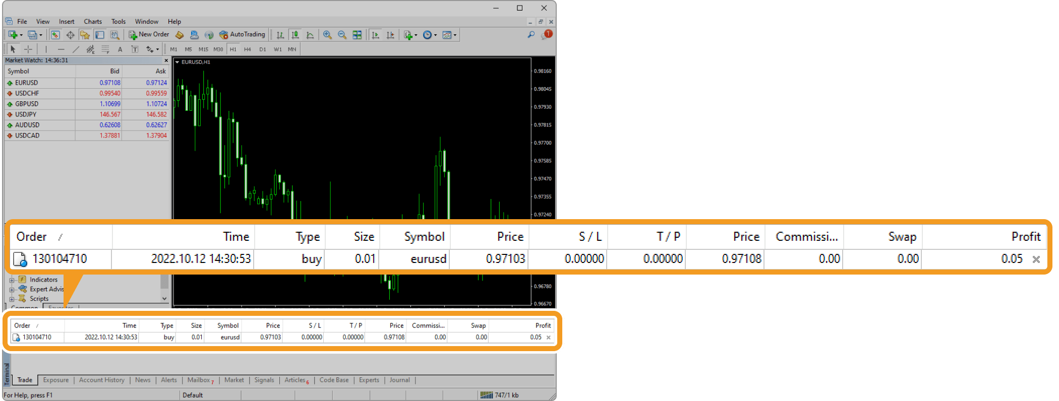 Order details in the Trade tab of the Terminal