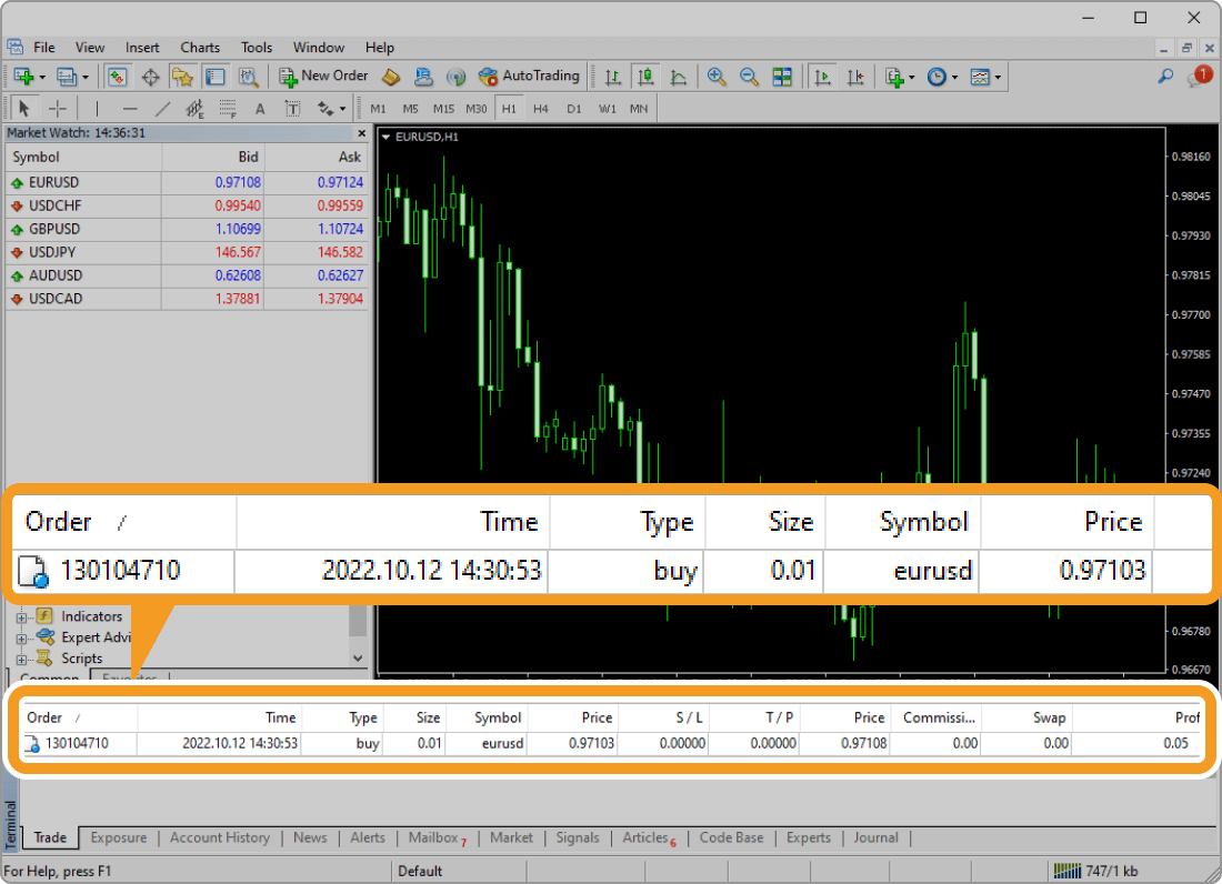 Order details in the Trade tab of the Terminal