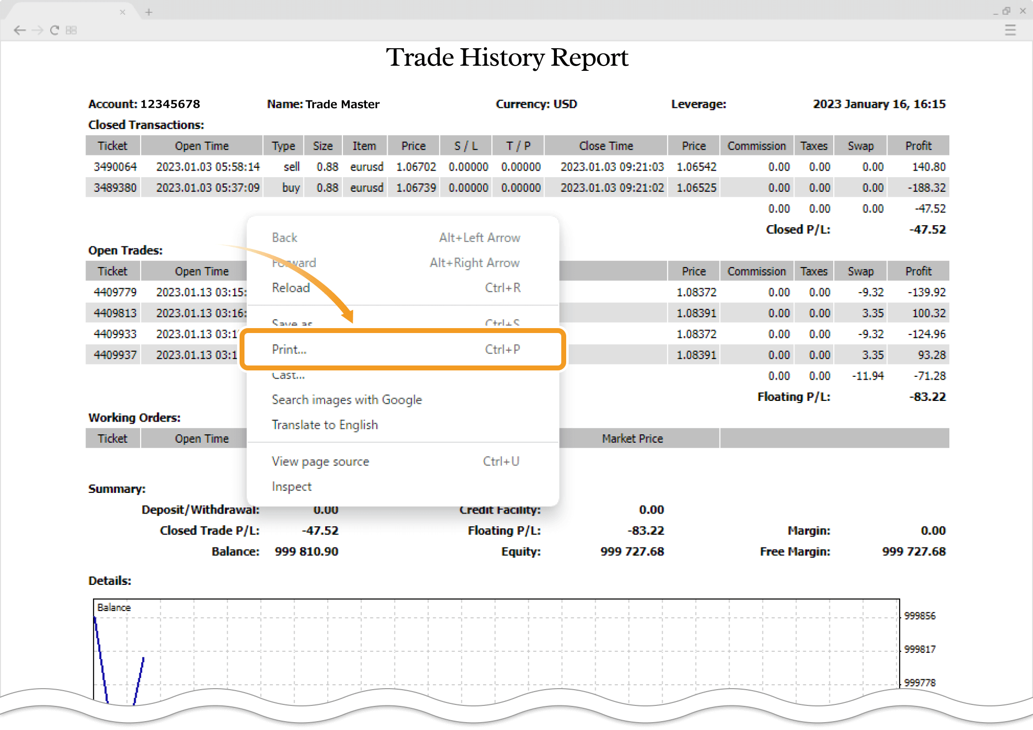 Print report