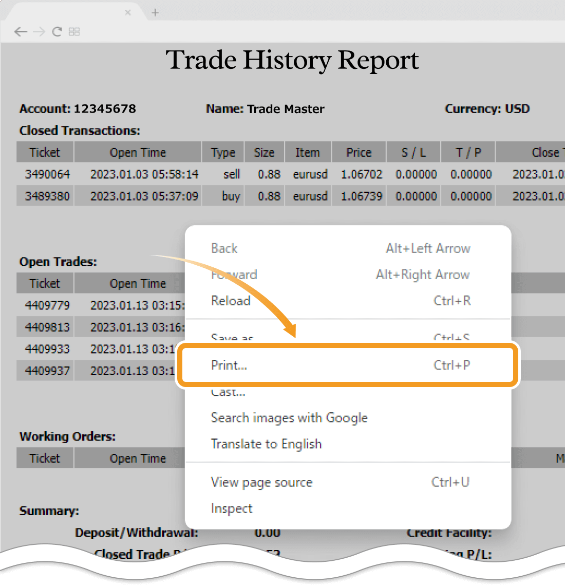 Print report