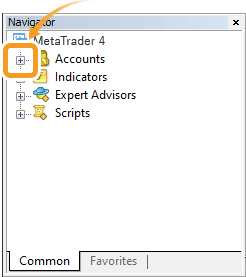 Click + to the left of Accounts in the Navigator