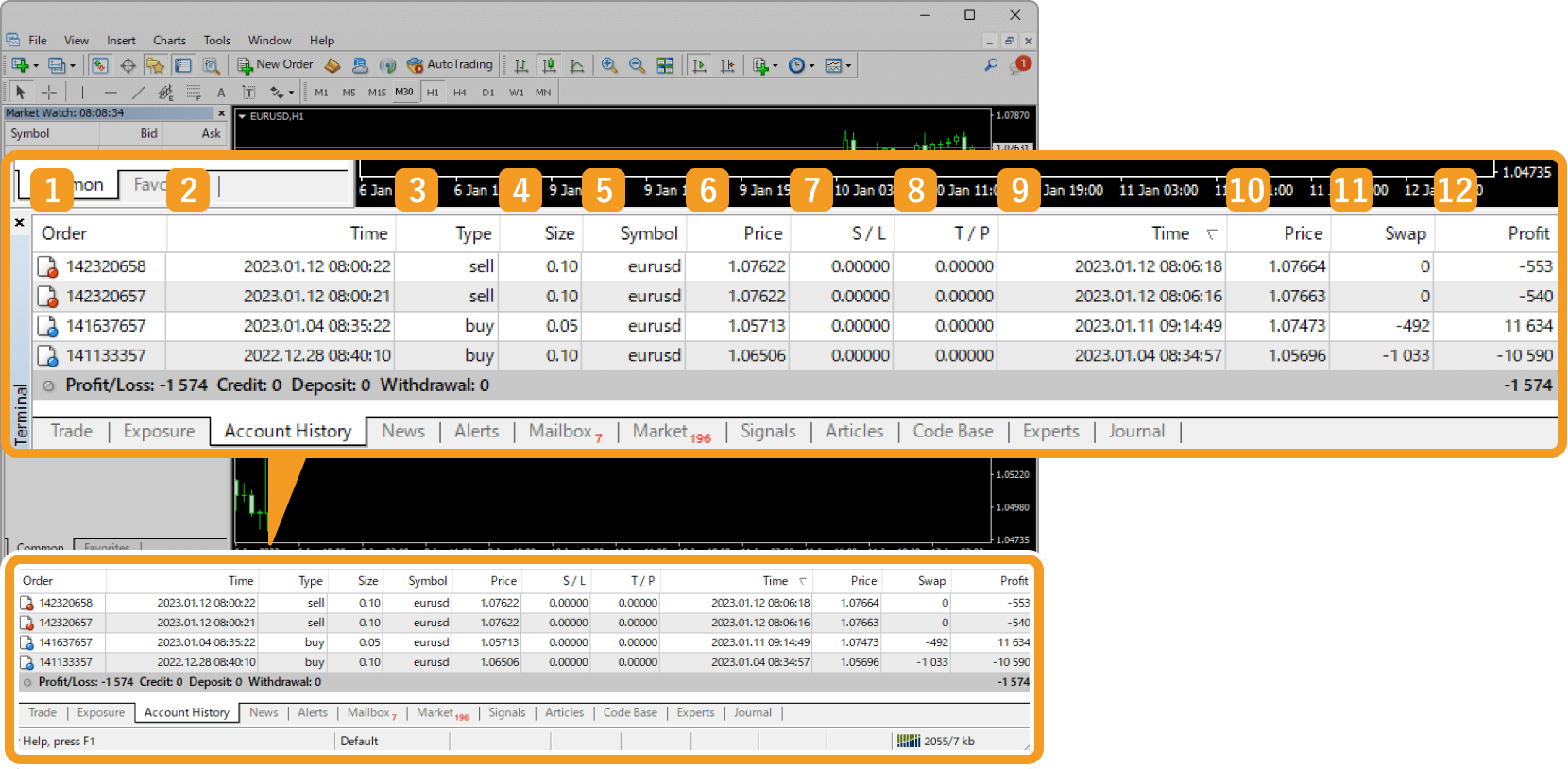 Account History tab