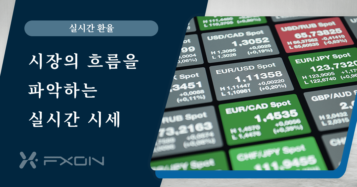 FX 통화 실시간 환율
