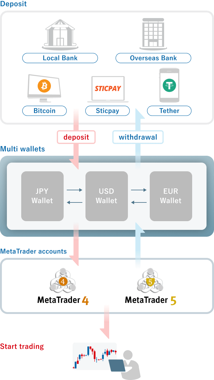 Flexible wallet system for efficient currency allocation